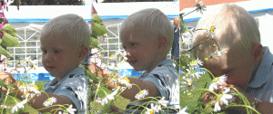Fabian sniffing flowers