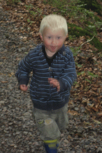 OK, the legs do work