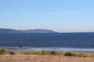 Why I don't want to live anywhere else