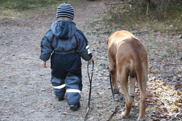 The highs and lows of&nbsp;life