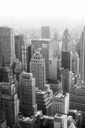 Pictures from THE&nbsp;city