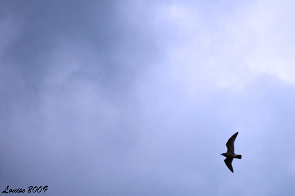 Day at the&nbsp;beach