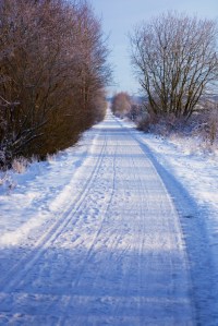 Bikers lane to Laholm