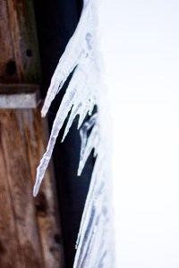Icicles