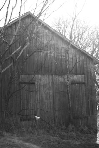 Ol' barn