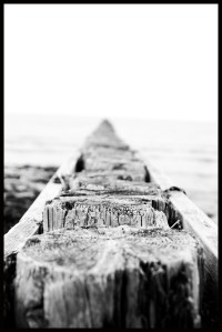 Something that I don't know what it is