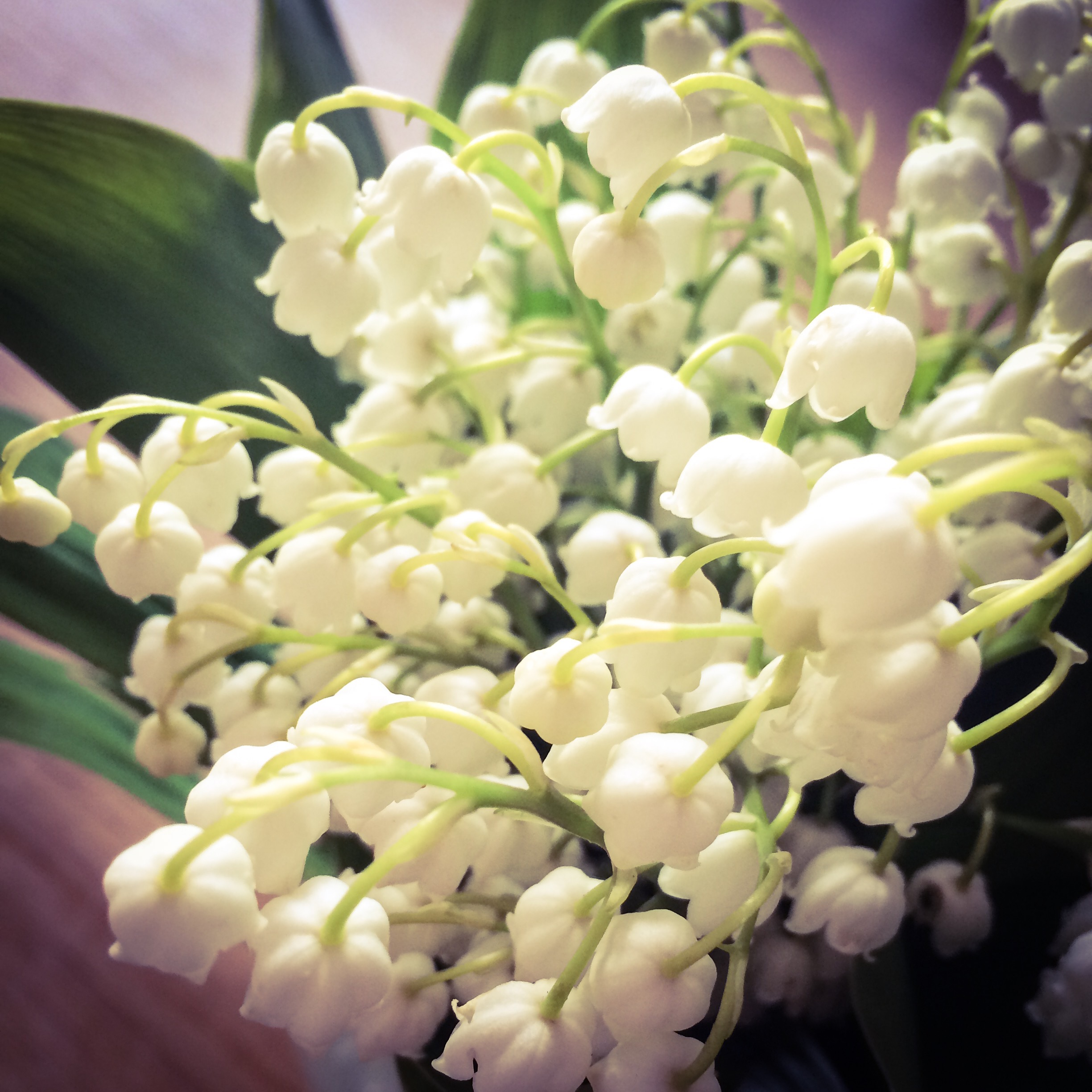Mother’s day