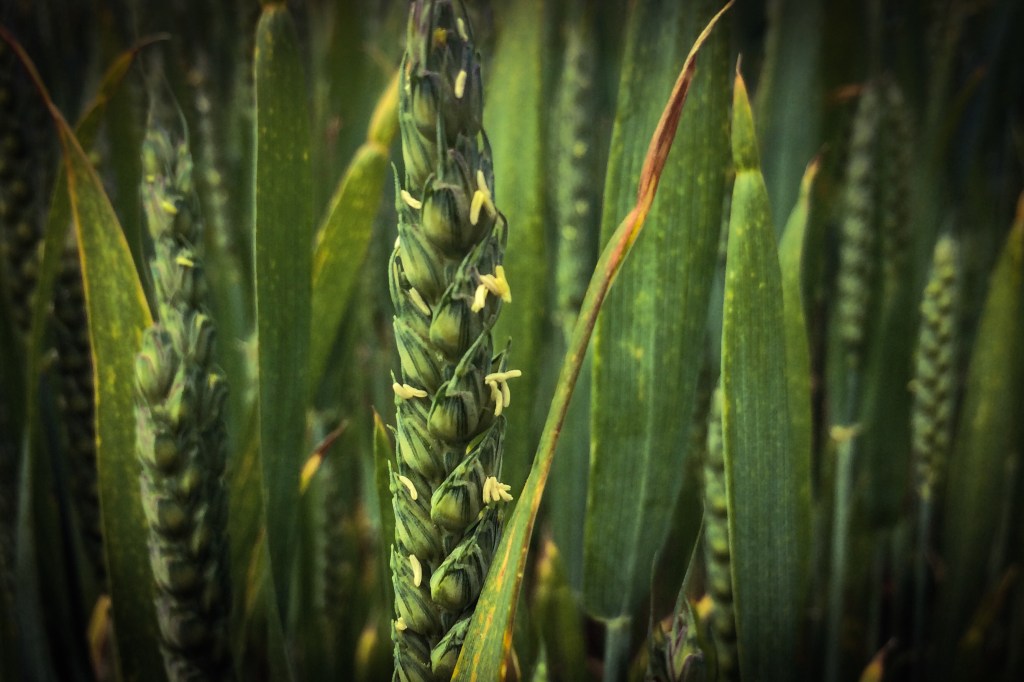 When time is not&nbsp;enough