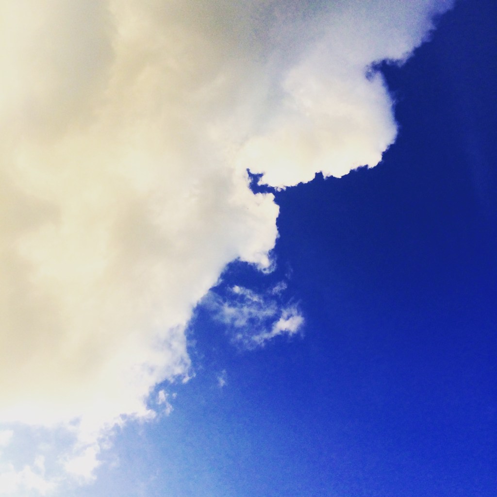 The wonderful task of doing absolutely&nbsp;nothing