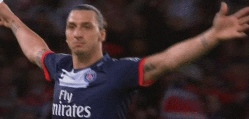 Zlatan is in da&nbsp;house