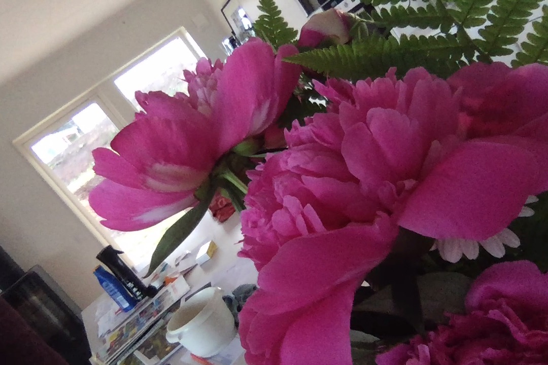 Bild 2017-06-10 kl. 21.25.jpg