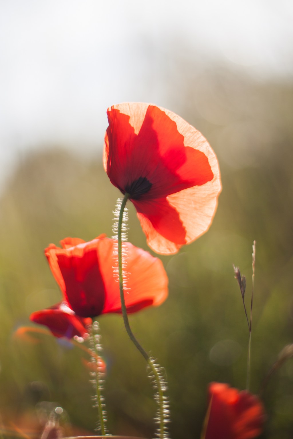 Vacay – trip&nbsp;1