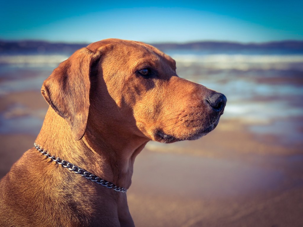 Far from the&nbsp;limit