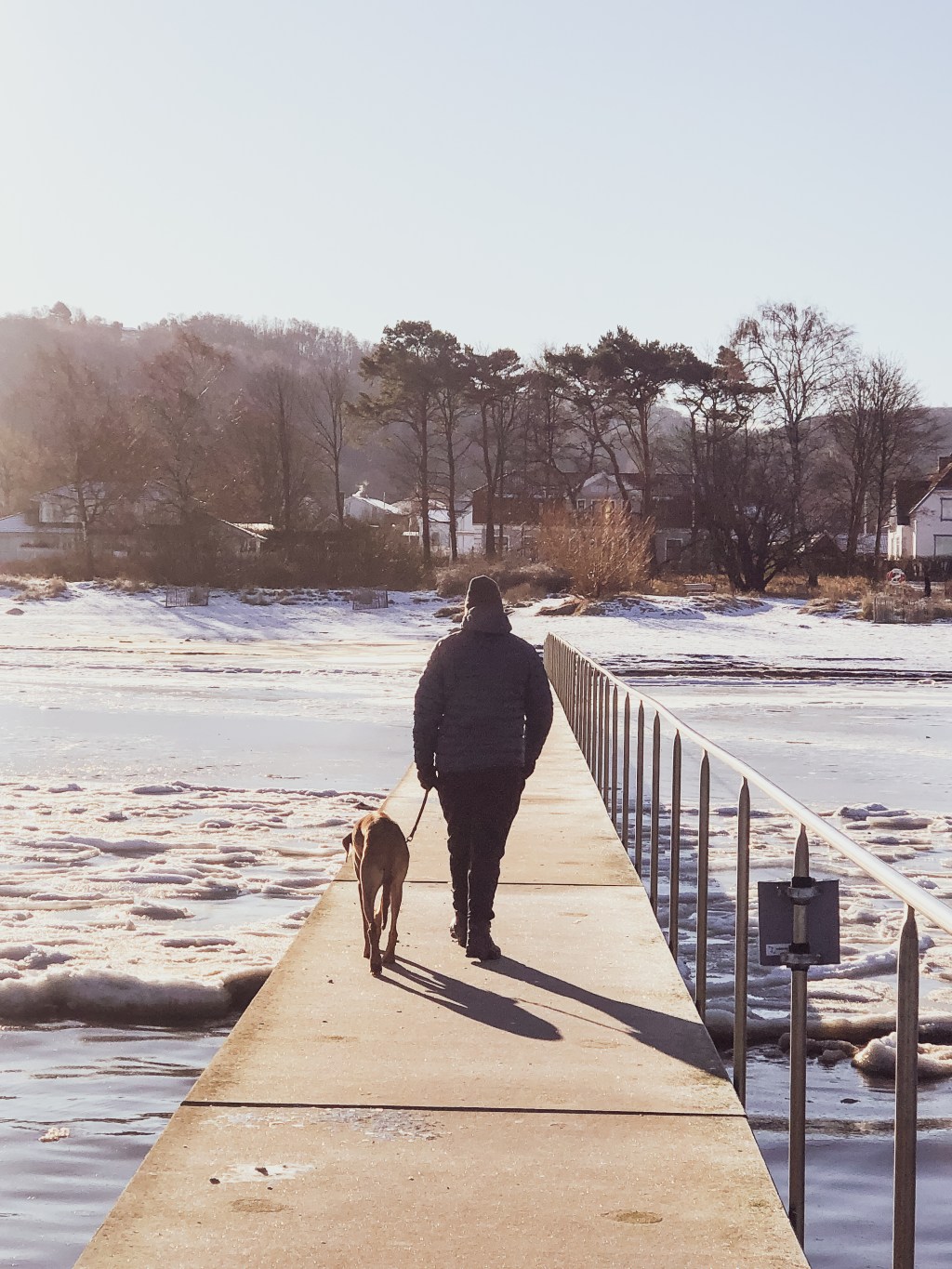 Contemplation & evaluation