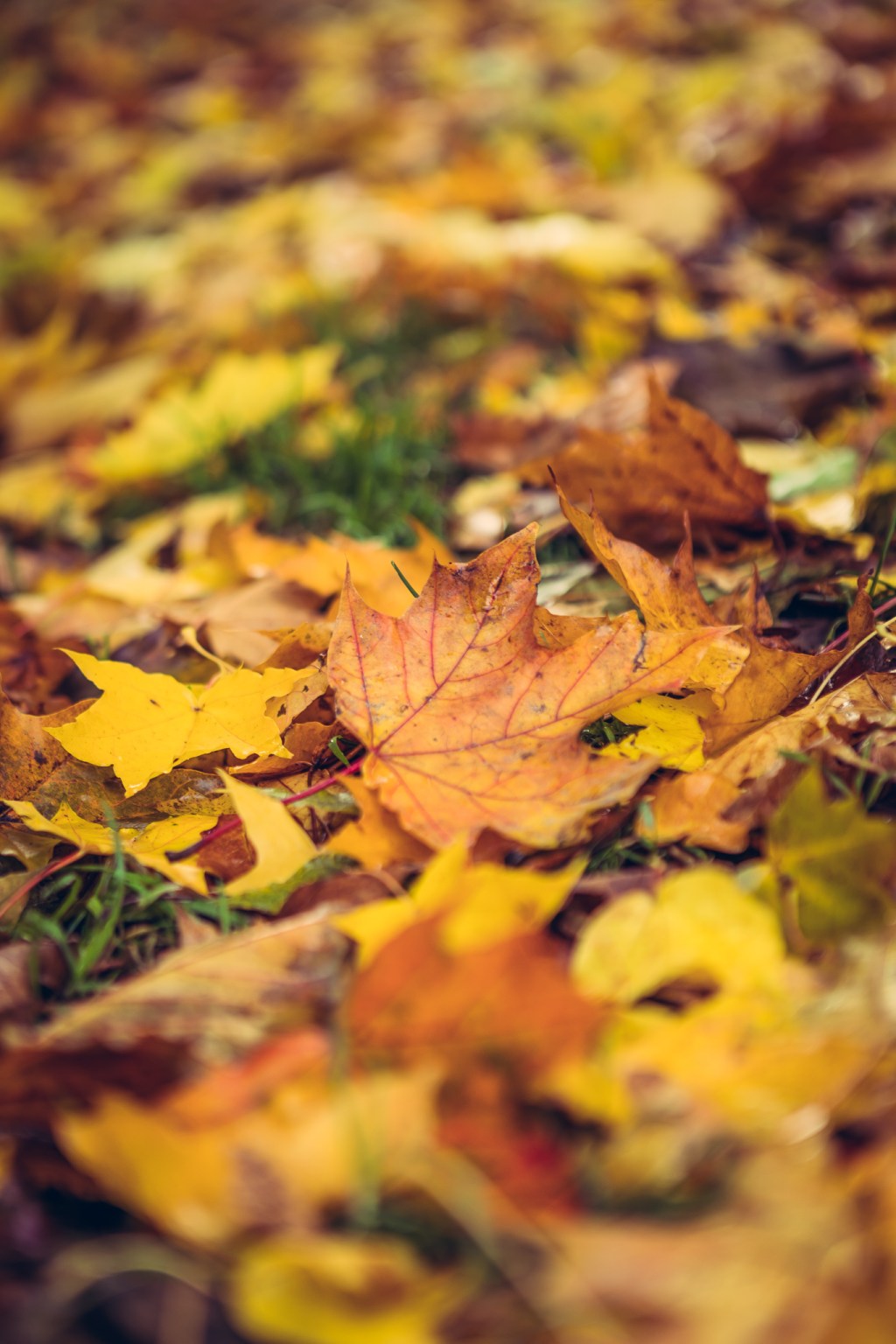 What’s a job&nbsp;really?