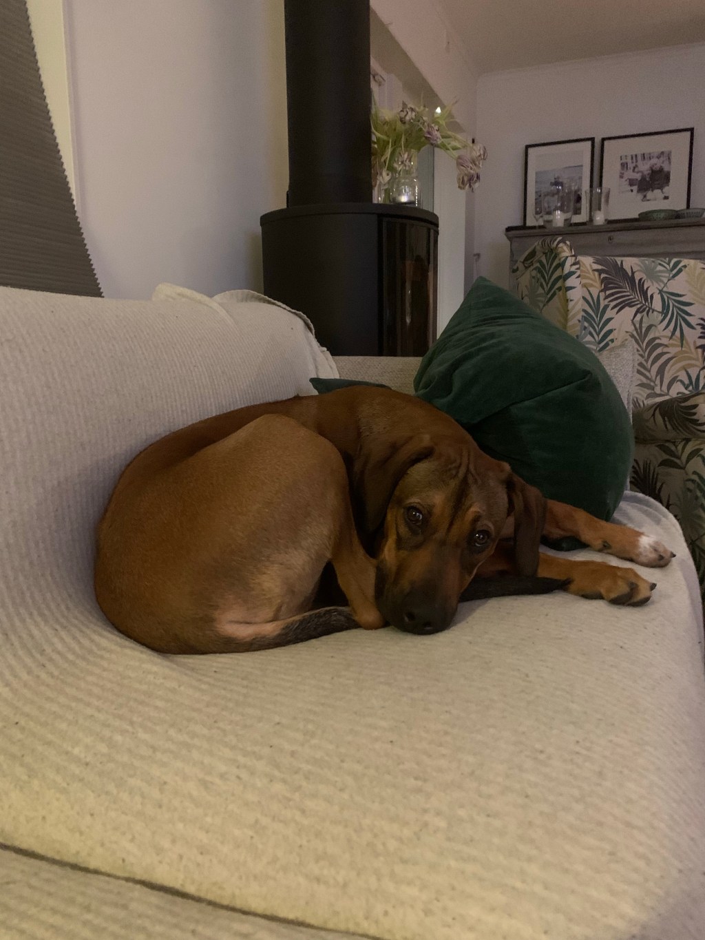 Could someone please inform&nbsp;her