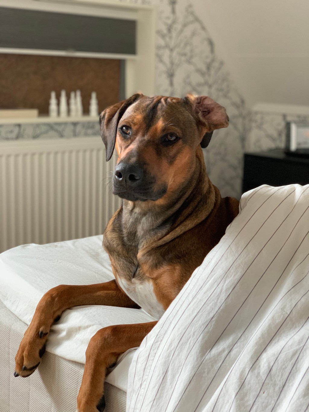 Too little attention