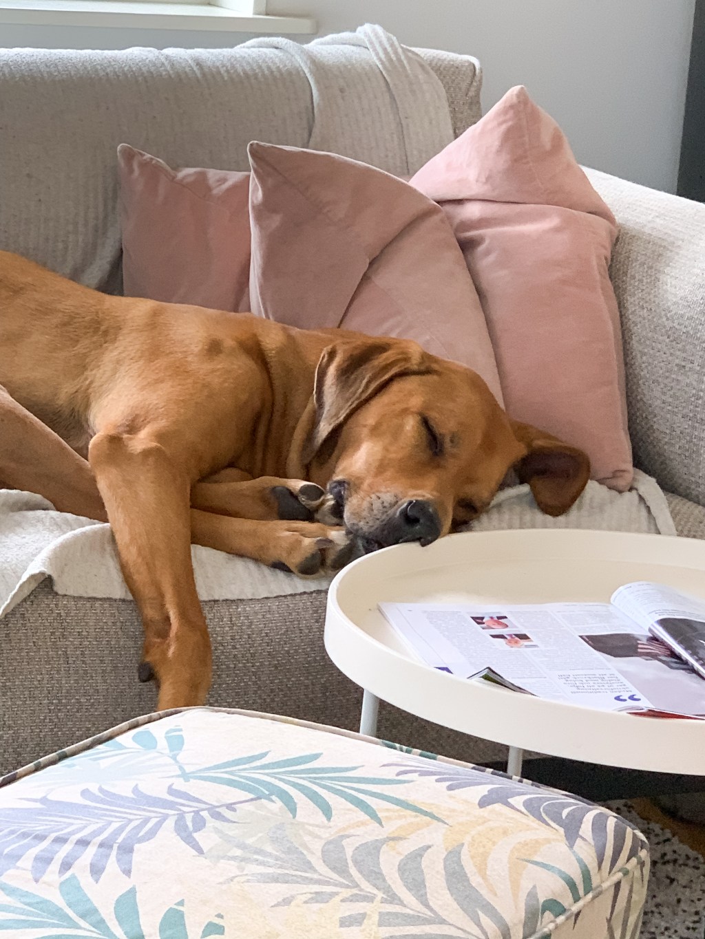 There’s no place like&nbsp;home