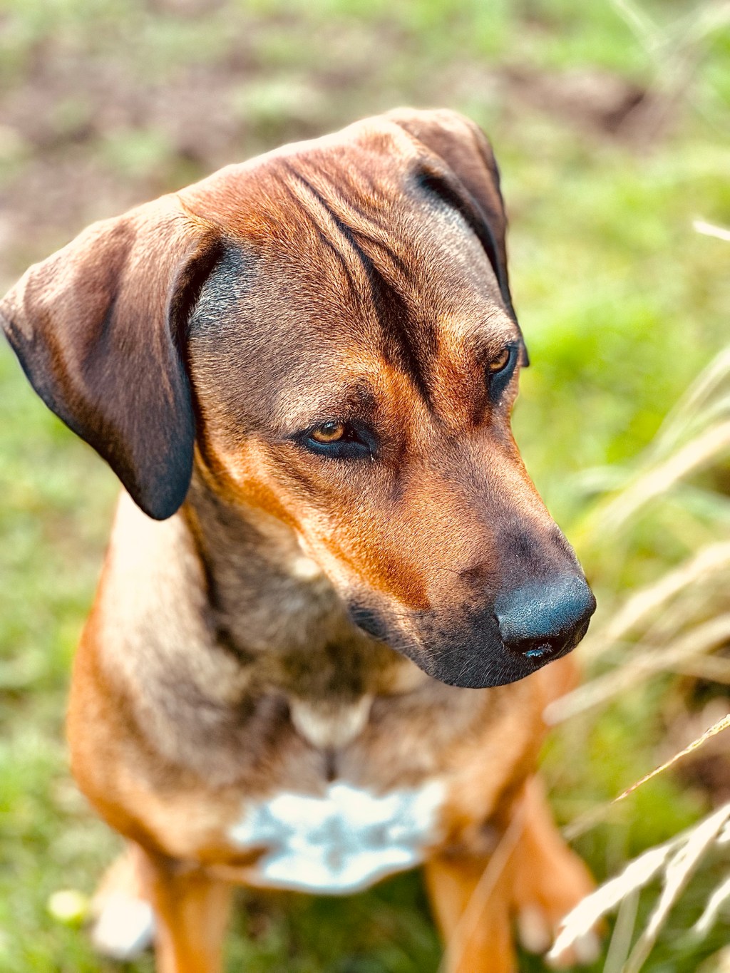 Trying out the new&nbsp;camera