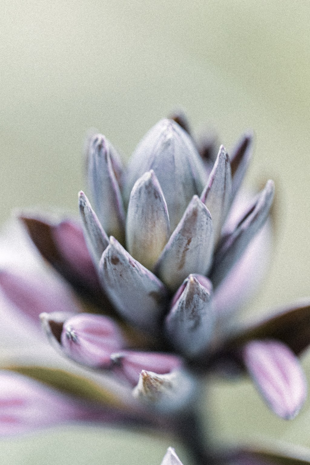 Have you ever&nbsp;heard?!