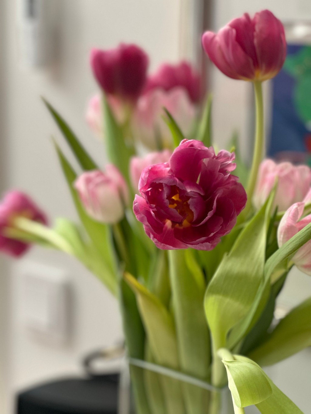 Who gives a&nbsp;sh..