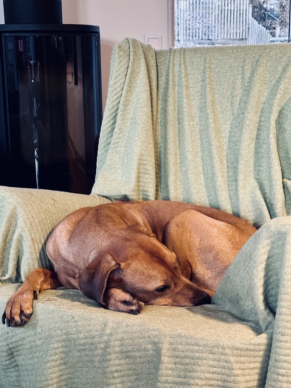 Death as a constant&nbsp;companion