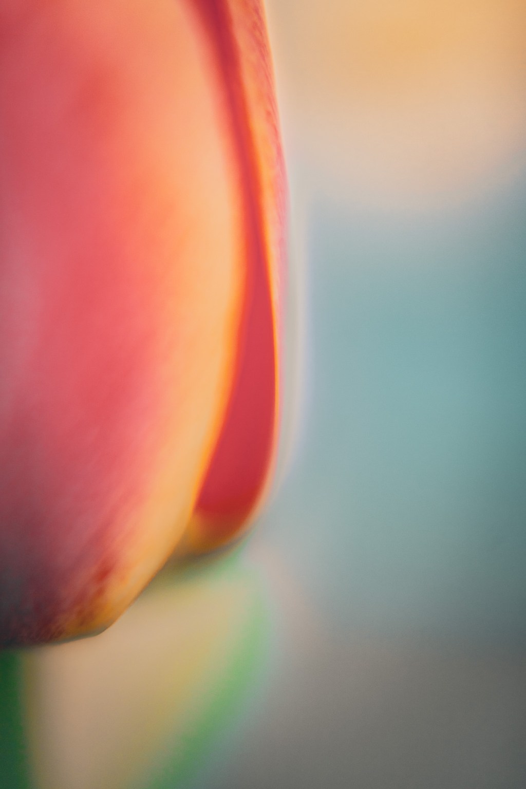 Work, what is&nbsp;it?