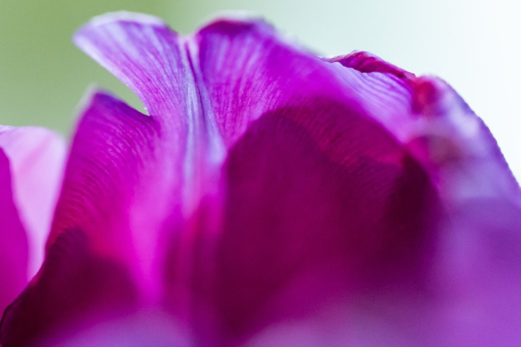 New Year’s Resolutions