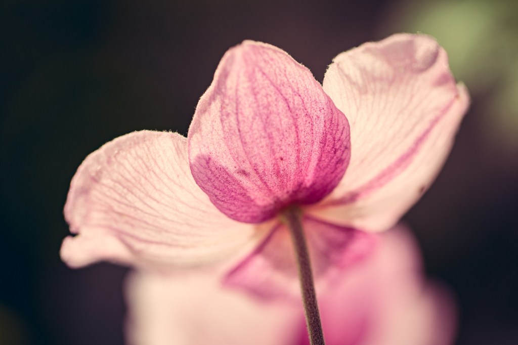 The extremes of&nbsp;life