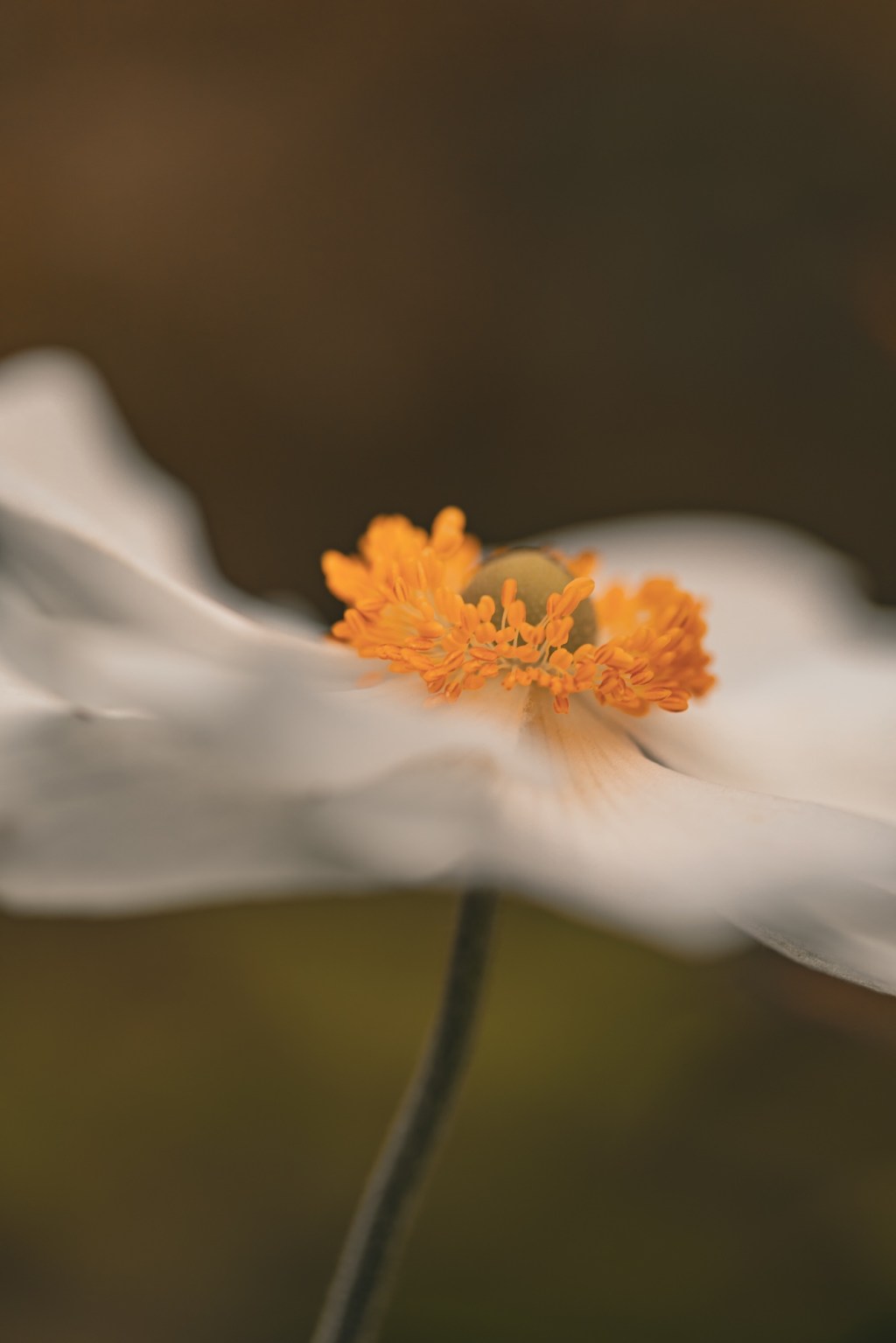 Well I’ll be&nbsp;damned